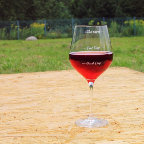 Gigantyczny Kieliszek Who cares duży na całe wino